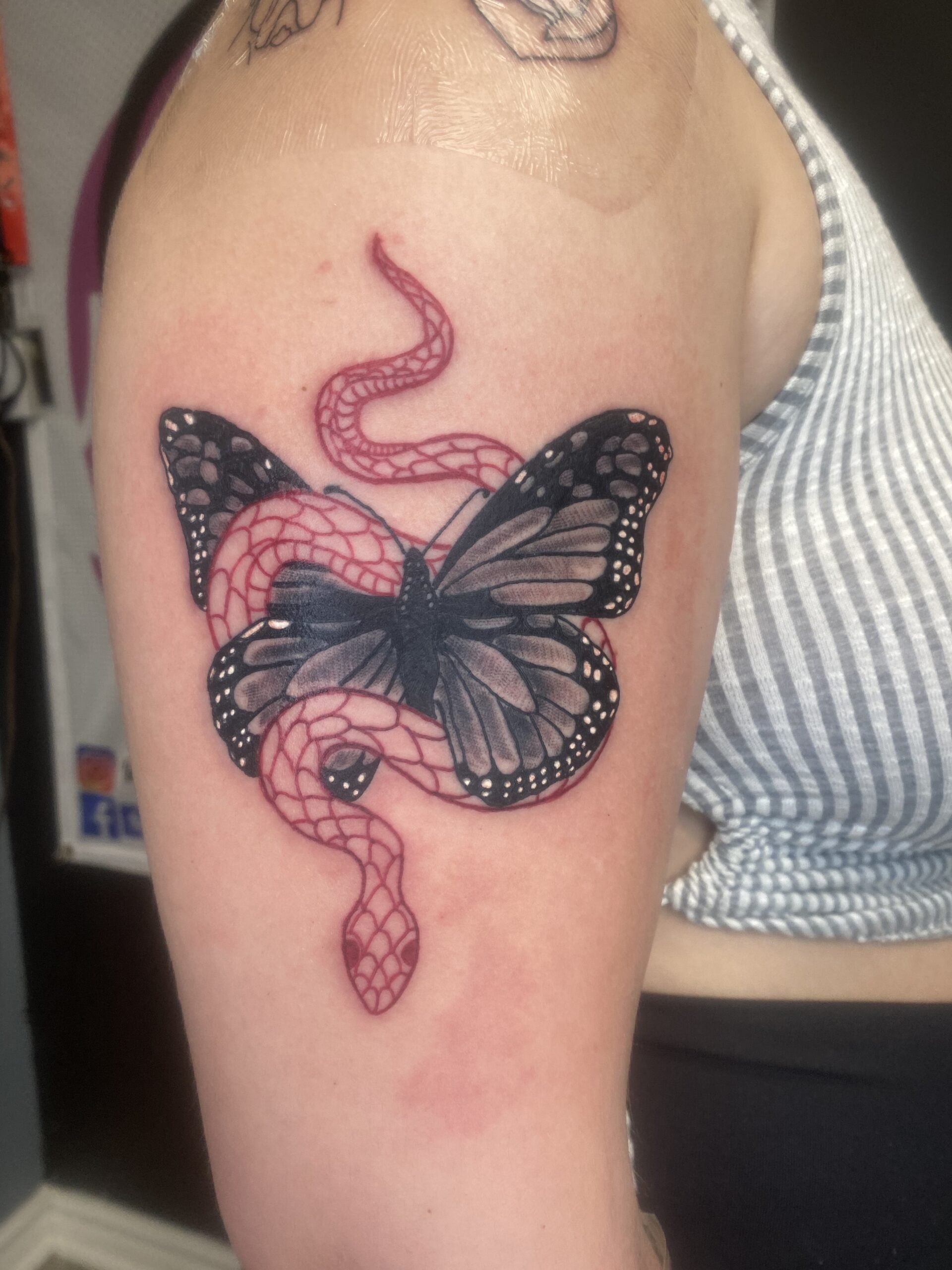 Snake and Butterfly Tattoo Meaning  Explained   MyTatouagecom